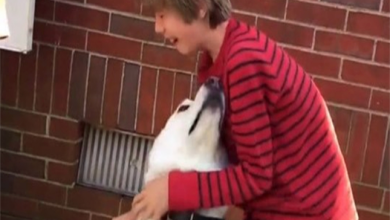Photo of Boy Is In Tears As He Reunites With His Dog Best Friend After A Year Apart