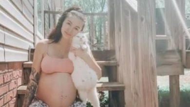 Photo of Expecting Mom Finds Pregnant Stray Cat And Gives Her A Home